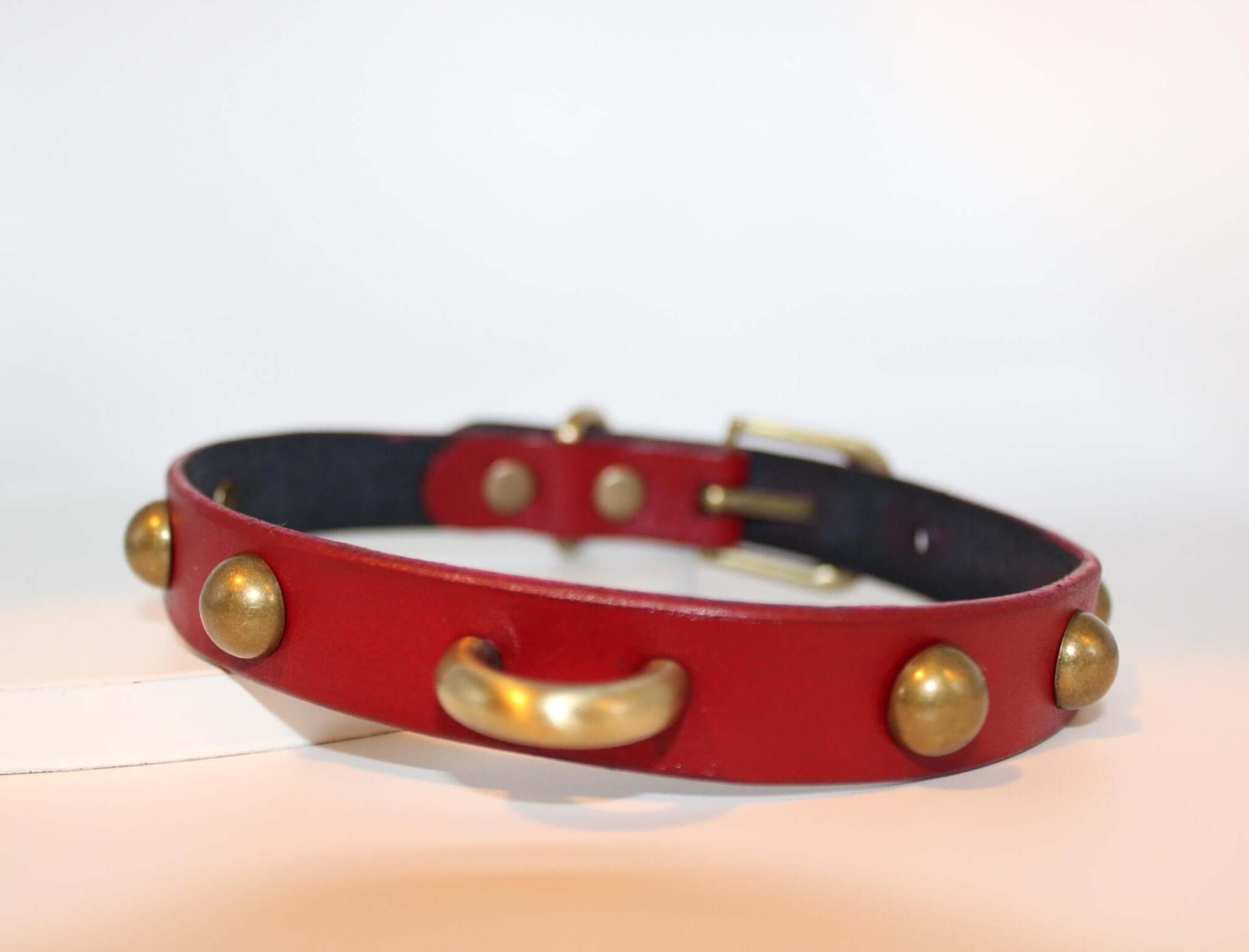 Collar Choker Leather D-Ring Choker Collar for Alt Fashion Goth